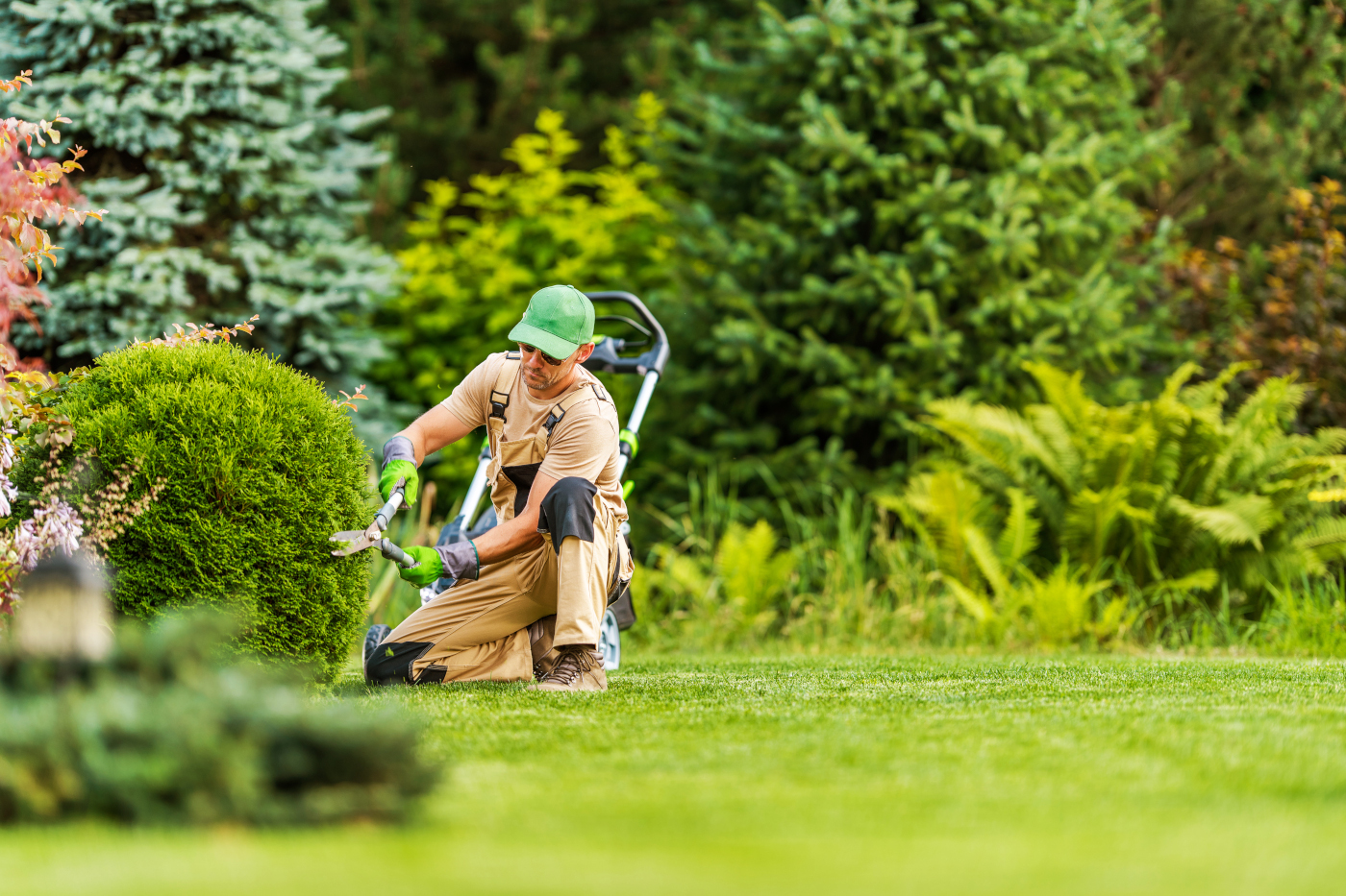 Lawn Care Services